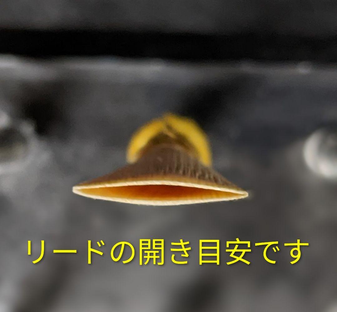 ファゴットリード（FGR007） — image 4