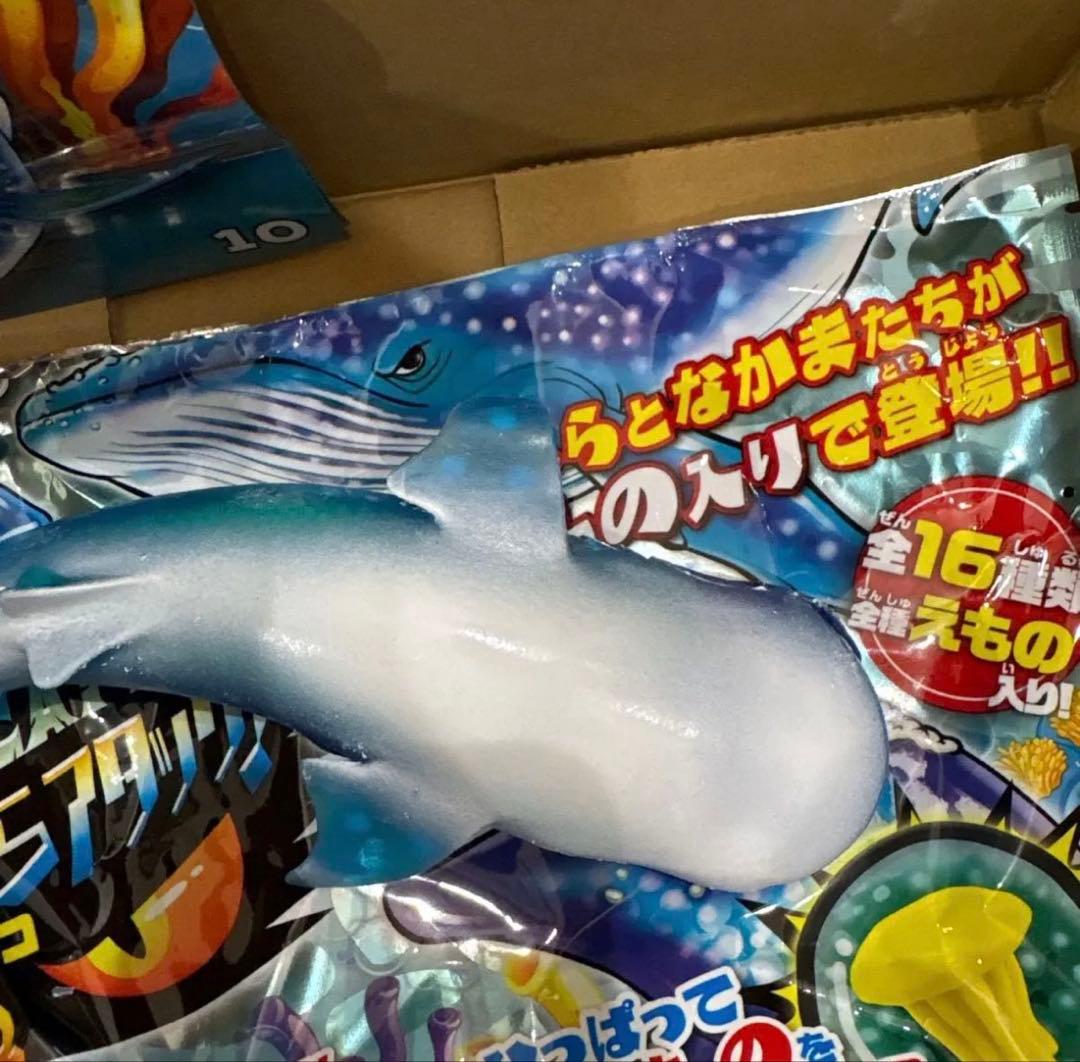 開封済　未使用　くじらアタック＆Co. ジンベイザメ — image 2