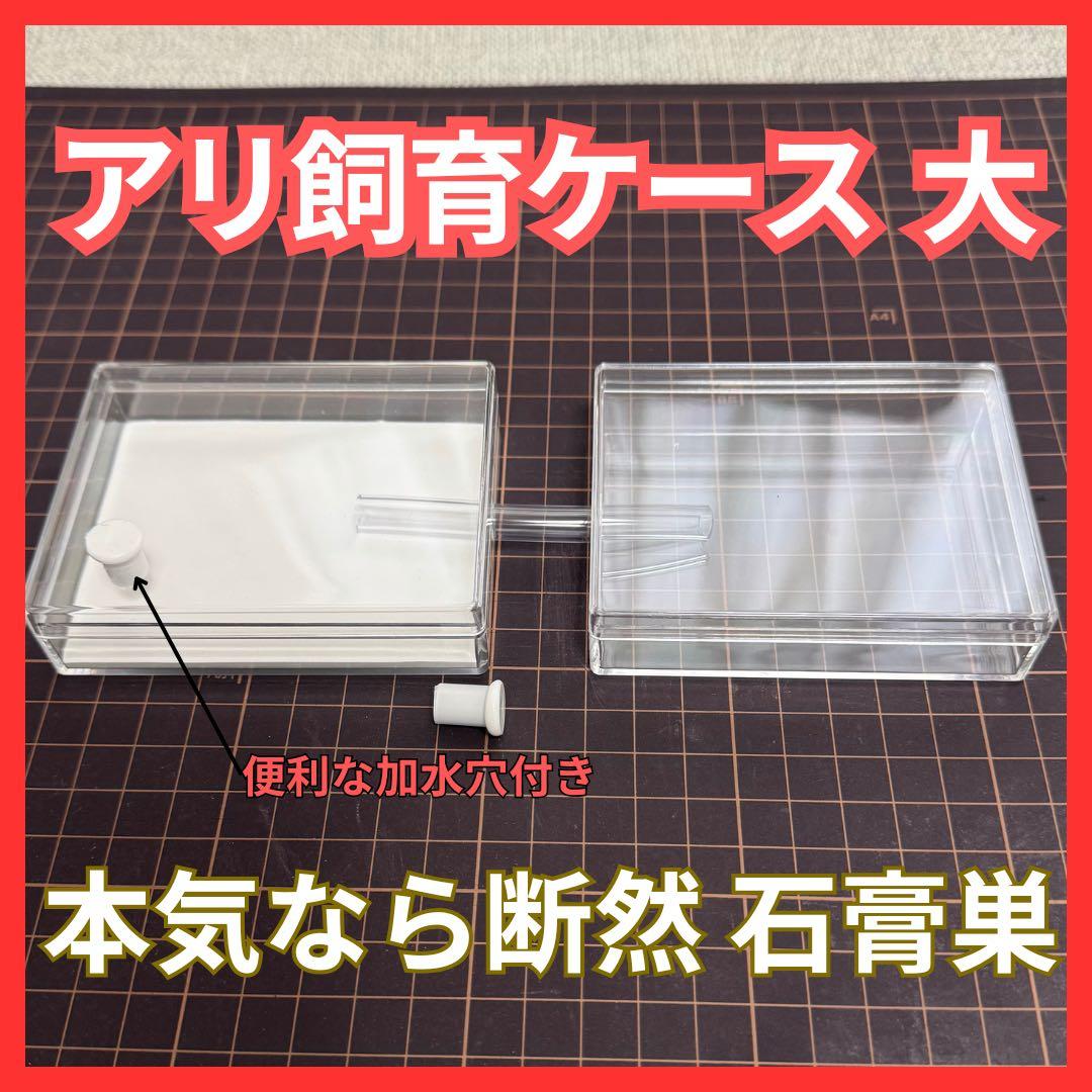 アリ飼育ケース(大) 餌場(大)付き 【アリの巣】【スターターキット】 — image 2