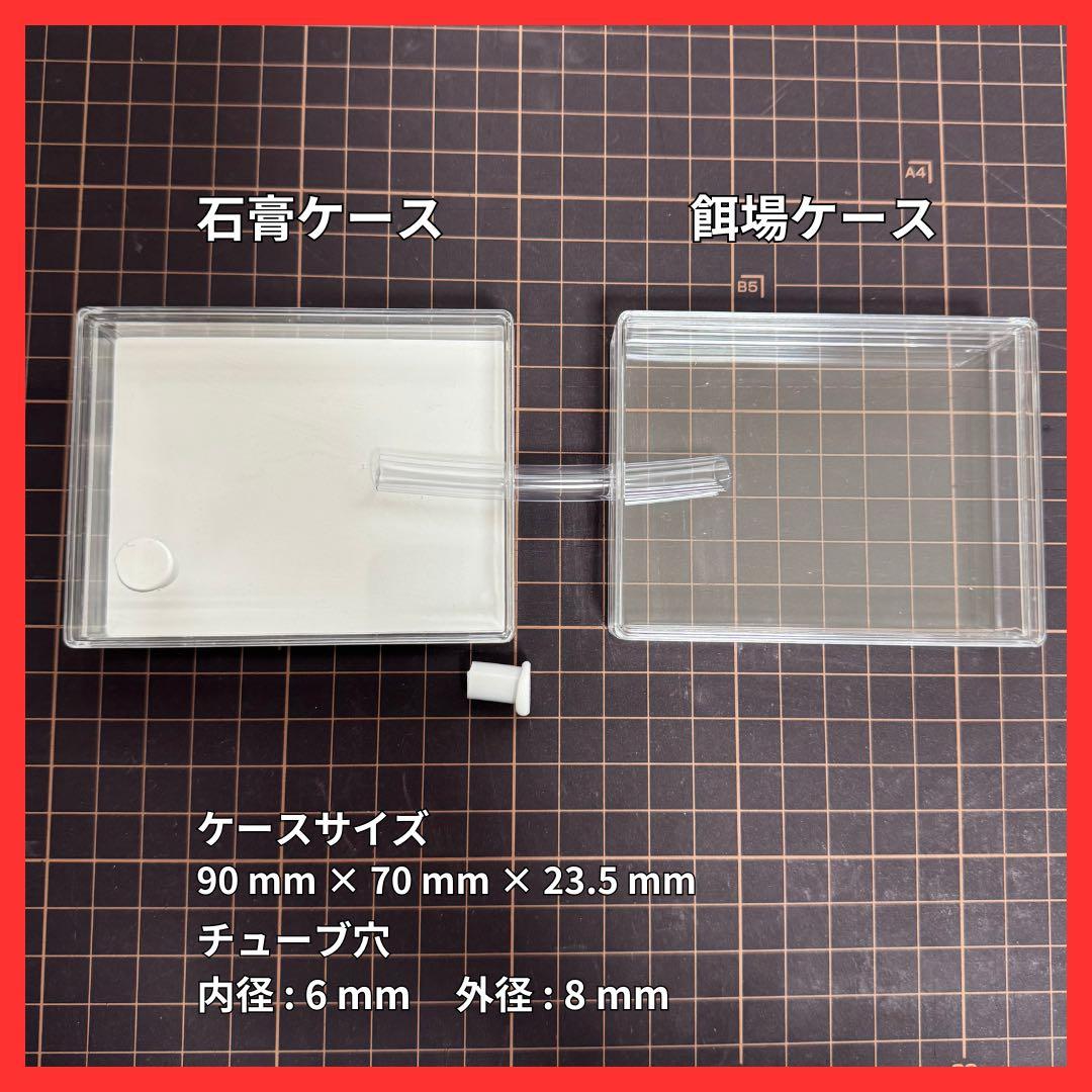 アリ飼育ケース(大) 餌場(大)付き 【アリの巣】【スターターキット】 — image 3