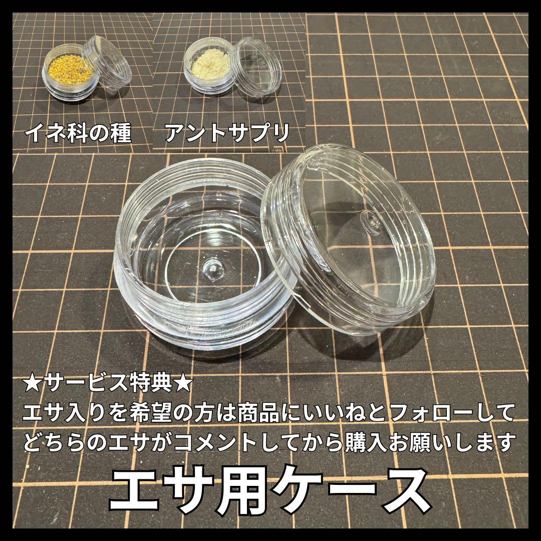 アリ飼育ケース(大) 餌場(大)付き 【アリの巣】【スターターキット】 — image 5