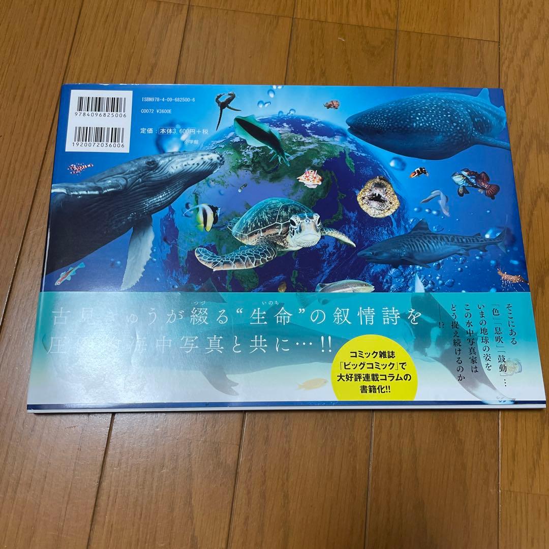 ◆6月末削除◆海の聲をきく : Unforgettable Encounter — image 2