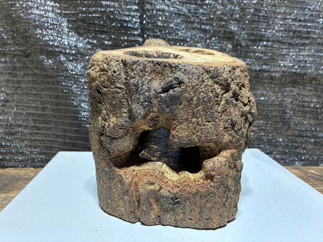 クワガタ　カブトムシ　クワリウム　隠れ屋 — image 2
