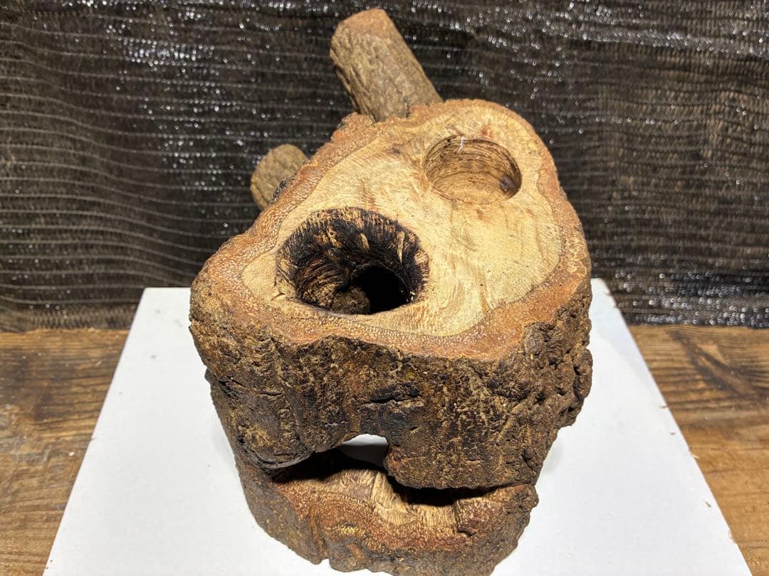 クワガタ　カブトムシ　クワリウム　隠れ屋 — image 3