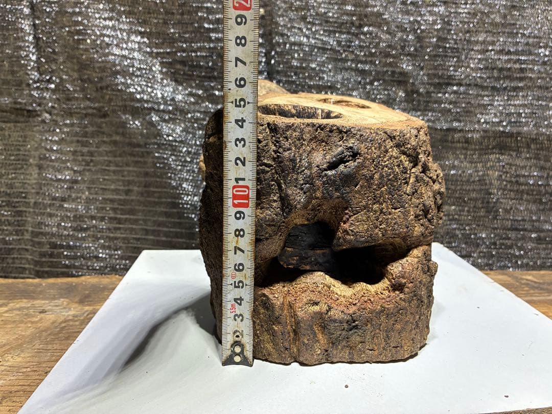 クワガタ　カブトムシ　クワリウム　隠れ屋 — image 5