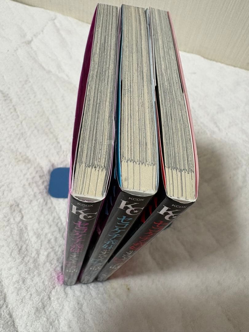 セコケチ義妹がすべてを失った話　　1〜3巻 — image 2