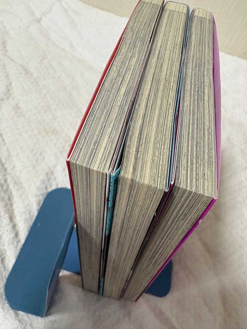 セコケチ義妹がすべてを失った話　　1〜3巻 — image 3