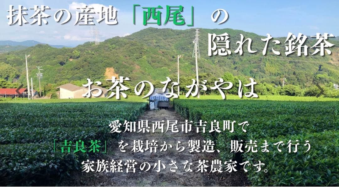 【地域ブランド西尾抹茶「吉良産限定」】粉末緑茶スティック45本(1袋) — image 3