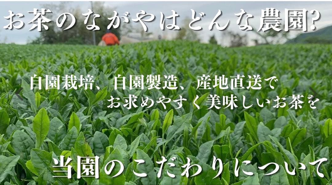 【地域ブランド西尾抹茶「吉良産限定」】粉末緑茶スティック45本(1袋) — image 4