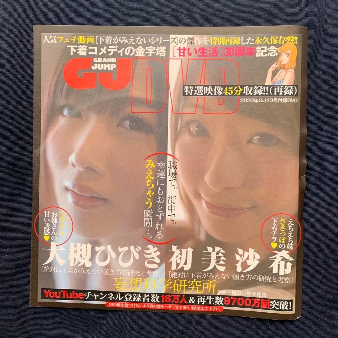 グランドジャンプ綴込み付録DVD9枚セット 新品未開封 青山ひかる 清水あいり他 — image 4