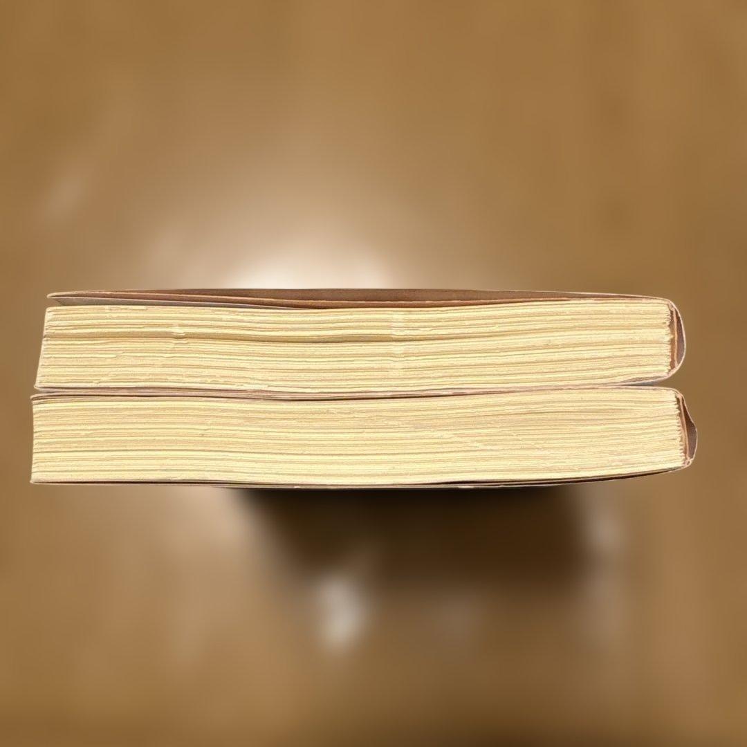 東京百年物語 1・2巻セット 岩波文庫 ロバート・キャンベル — image 4