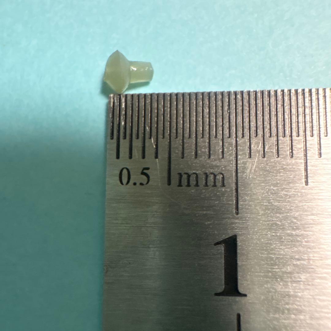 カープフィッシング　フックストップ　50個 — image 2