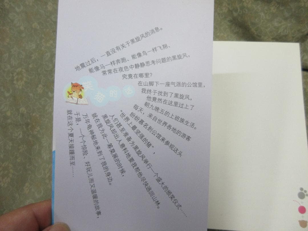 【中国語】笑猫日记　一头灵魂出窍的猪／杨红樱 — image 3