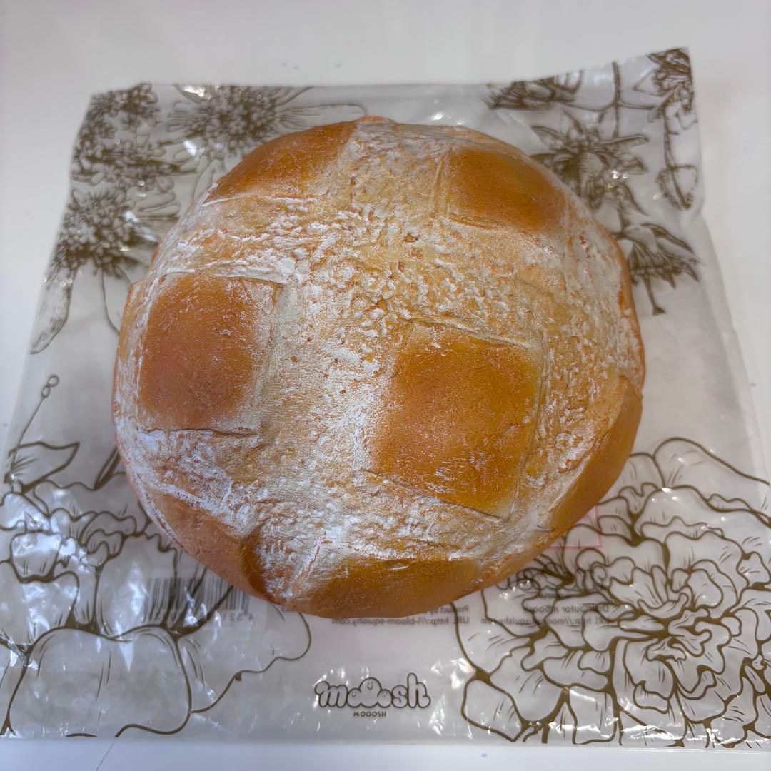 iBloom Moosh Boule de campagne スクイーズ — image 3