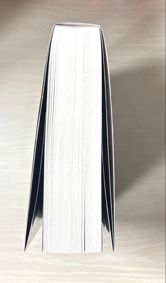 ポーズの美術解剖学 加藤公太 — image 3