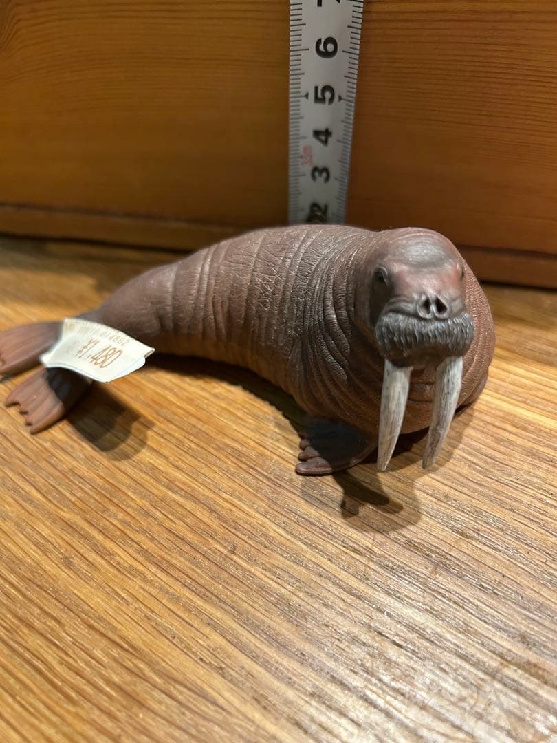 セイウチ フィギュア 動物模型 シュライヒ — image 2