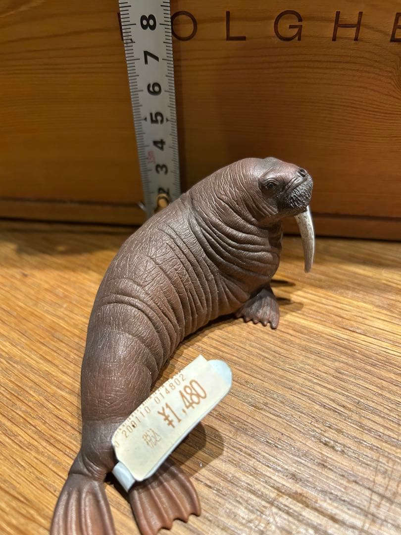セイウチ フィギュア 動物模型 シュライヒ — image 3