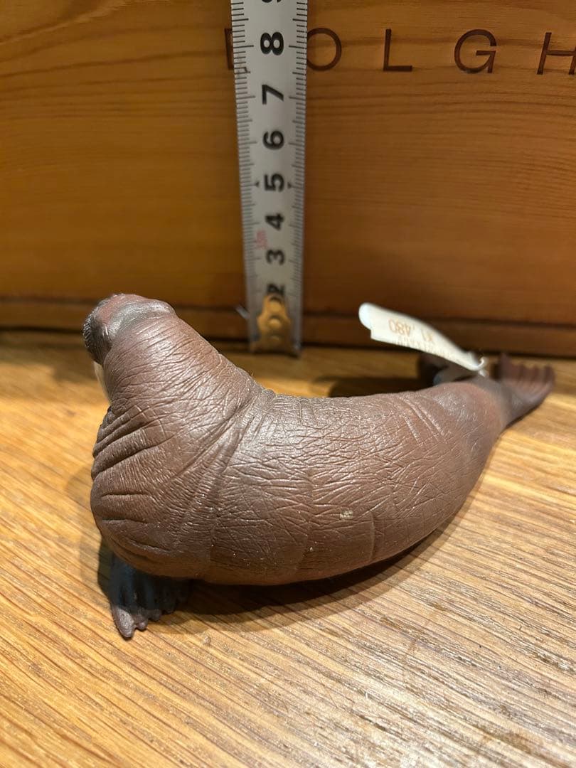 セイウチ フィギュア 動物模型 シュライヒ — image 4