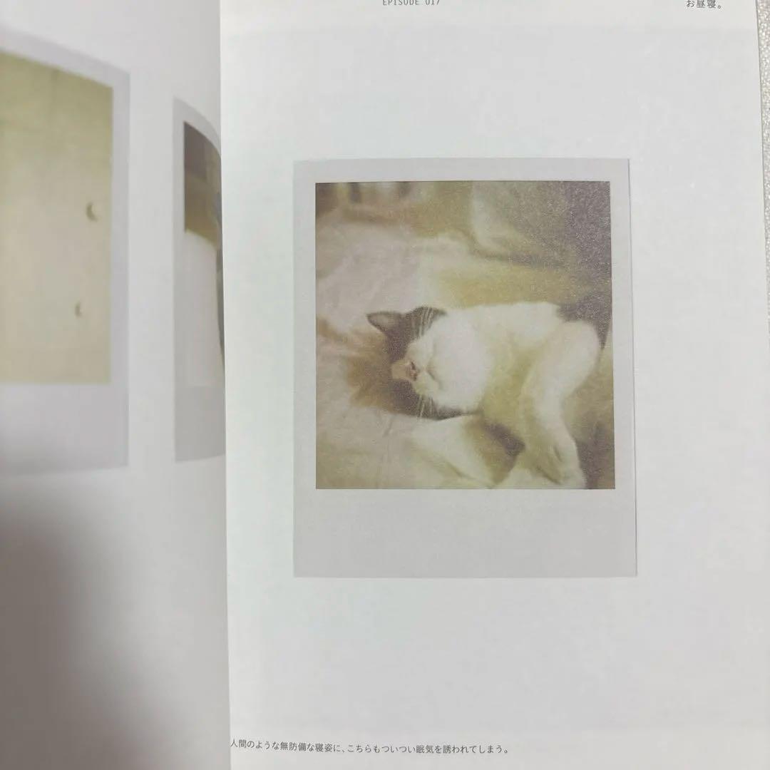岡尾美代子の雑貨ヘイ！ヘイ！ヘイ！ — image 5