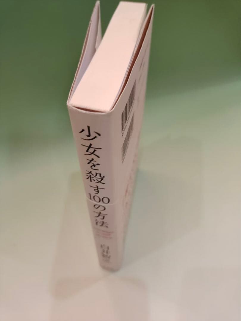 少女を殺す100の方法／白井智之 — image 4