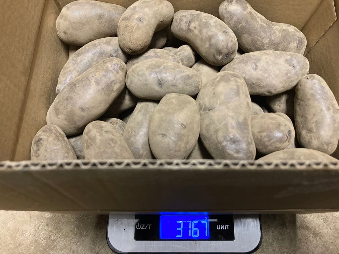 ３ｋｇ　シャドークイーン じゃがいも — image 2