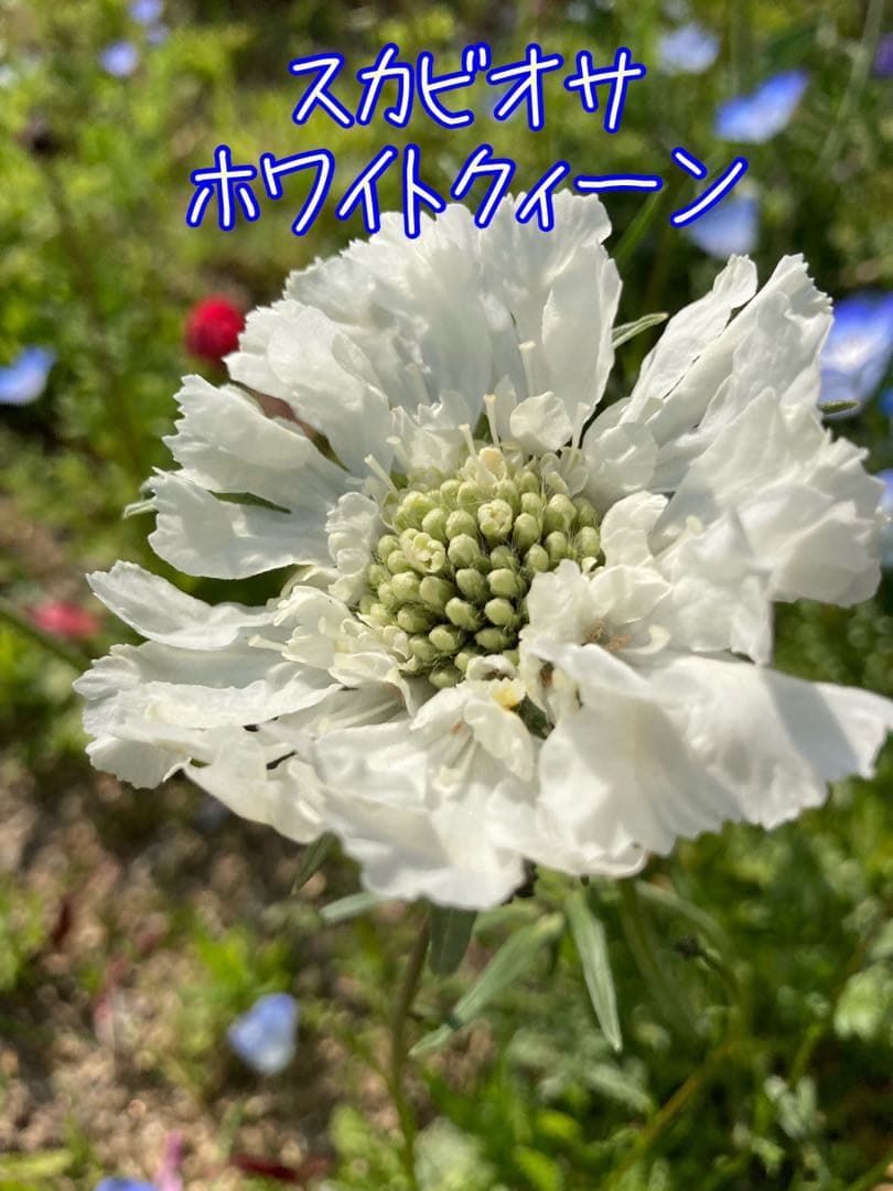 asahi様 リクエスト 2点 まとめ商品 — image 2