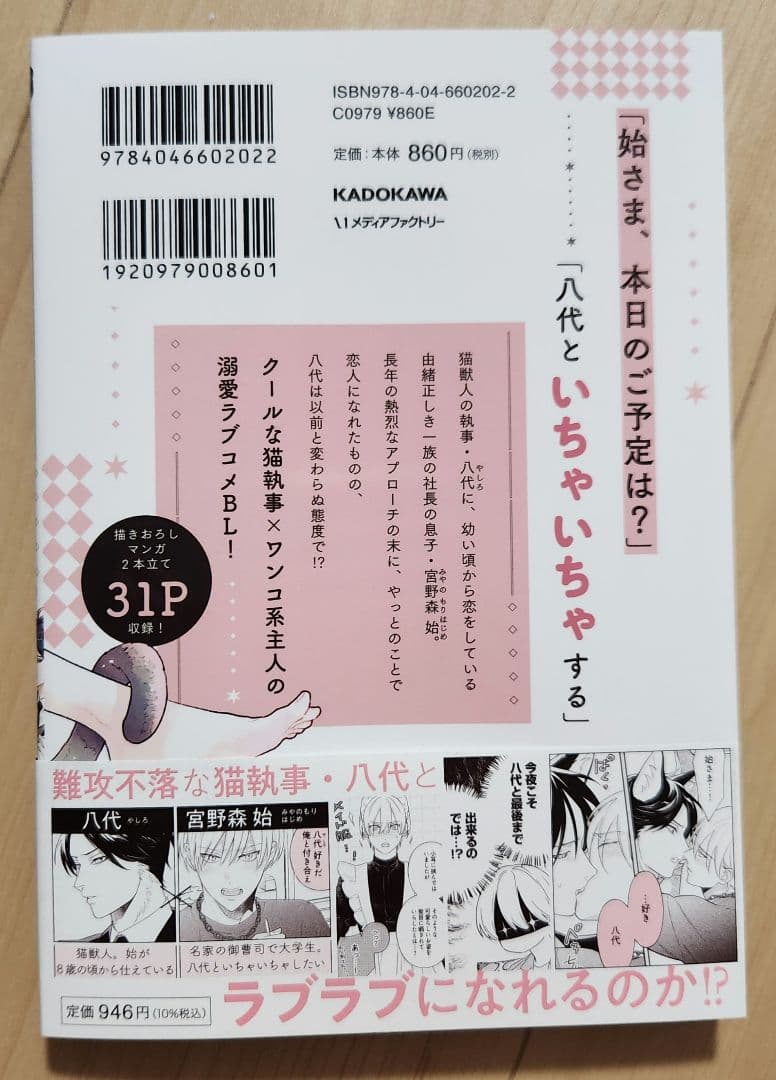 俺の猫執事が言う事を聞かない件 — image 2
