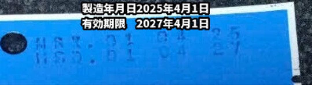 モリンガの種【25粒】⭕️ — image 2