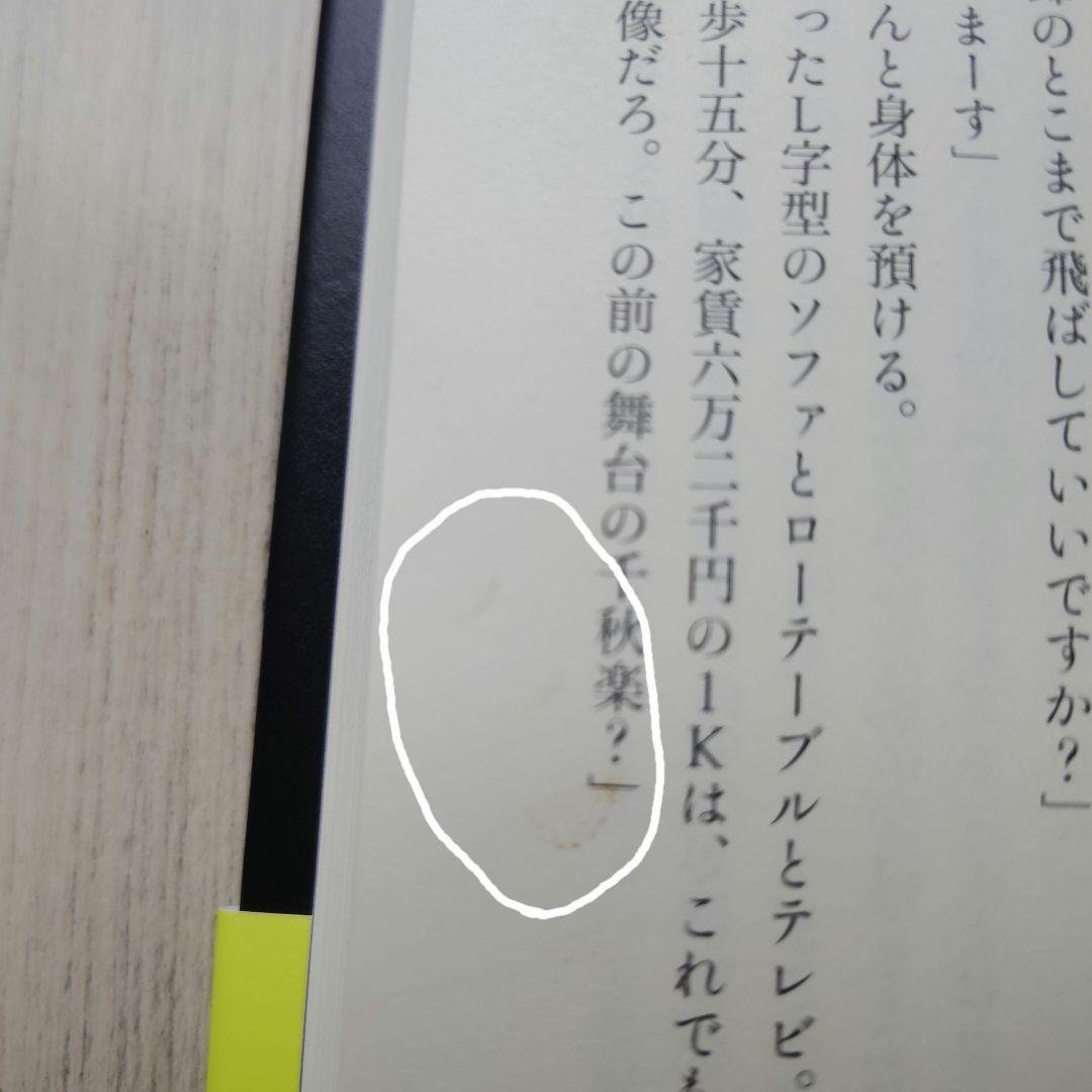 インザメガチャーチ — image 5