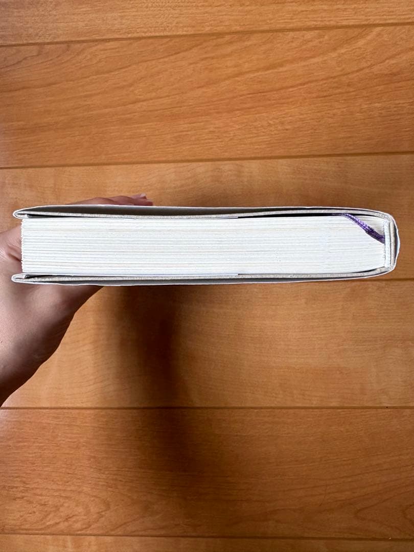 求めない練習 ショーペンハウアーの幸福論 — image 4