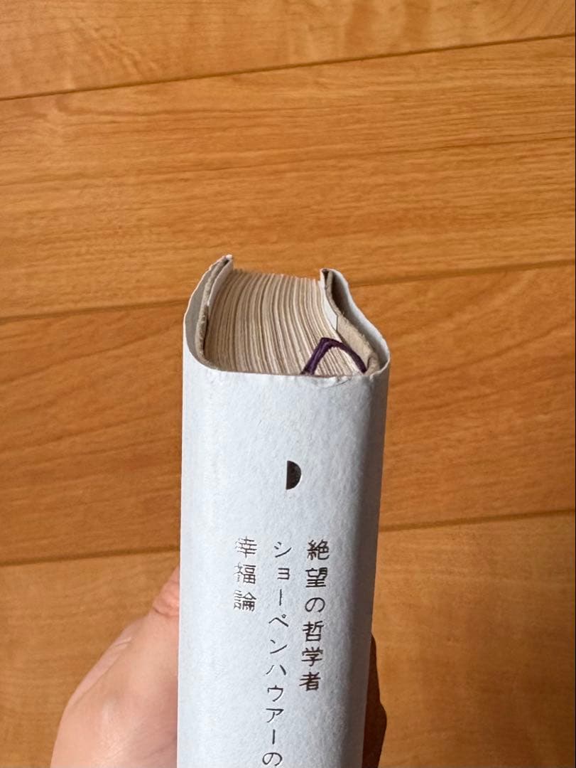 求めない練習 ショーペンハウアーの幸福論 — image 5
