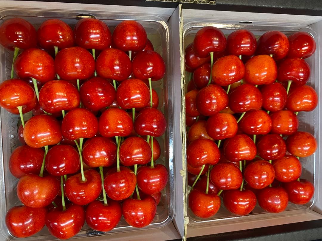 東北関東エリア限定　紅秀峰1kg — image 3