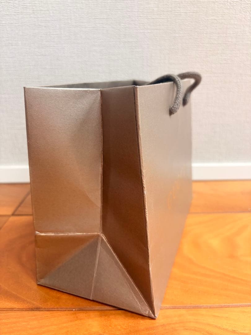GUCCI ショップ袋 ショッパー — image 2