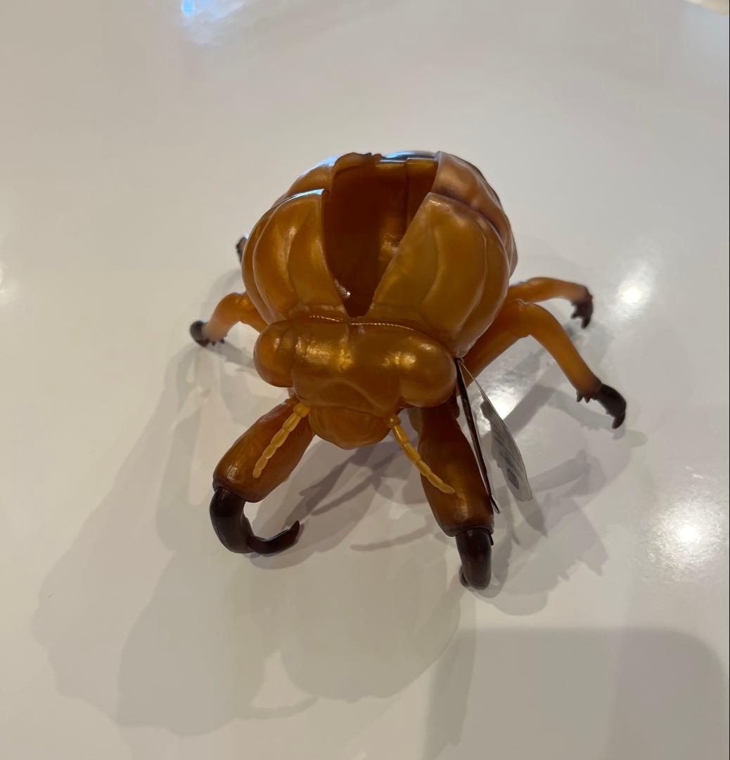 リアルビッグサイズフィギュア　ミンミンゼミ　抜け殻 — image 4