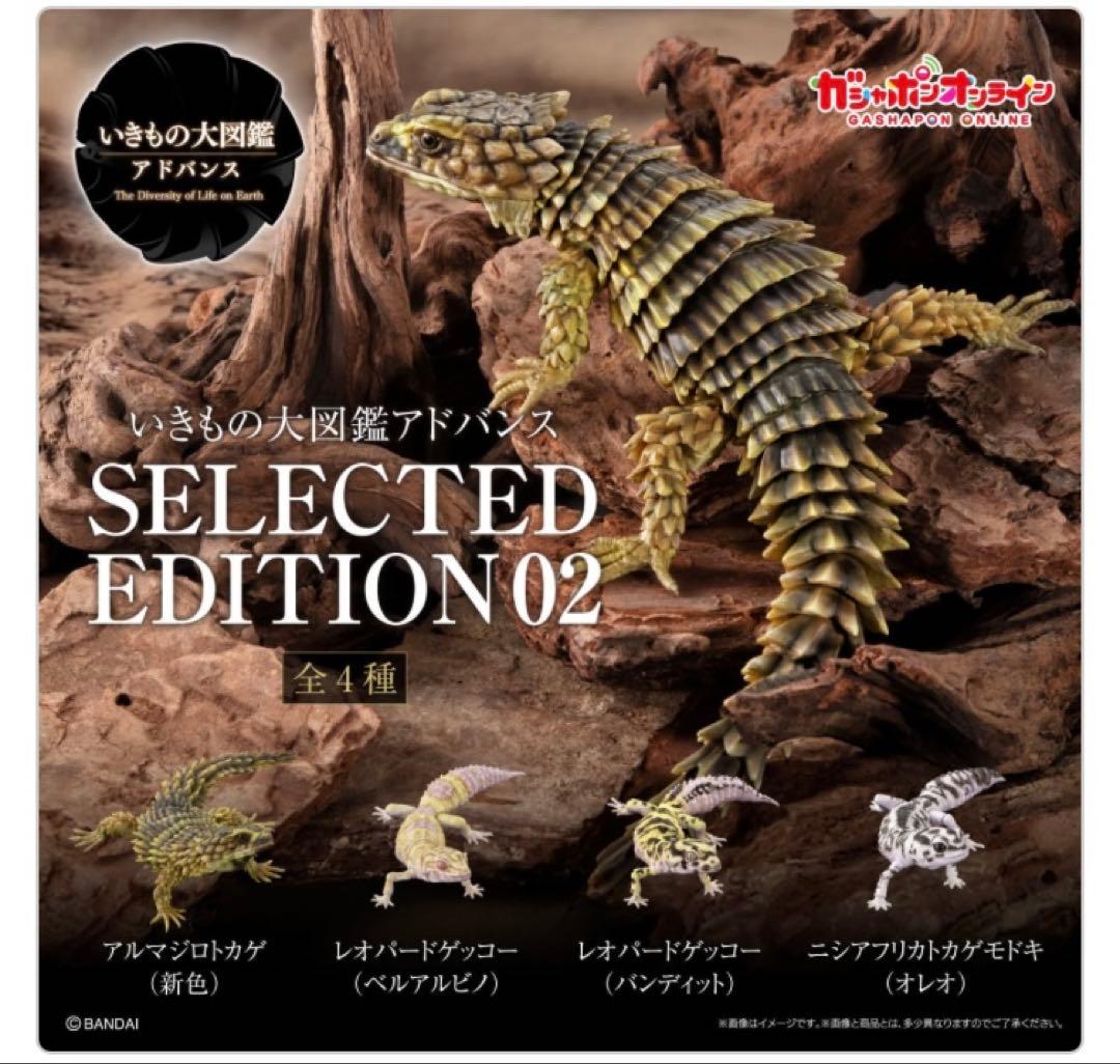 いきもの大図鑑アドバンス レオパードゲッコー（ベルアルビノ） ガチャ オンライン — image 2
