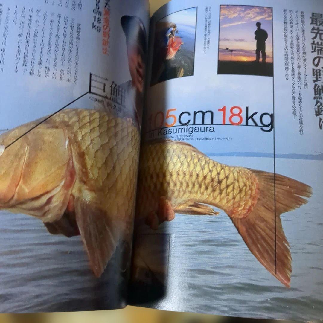鯉釣りがわかる本 エキスパートの野鯉釣り実戦攻略 — image 2