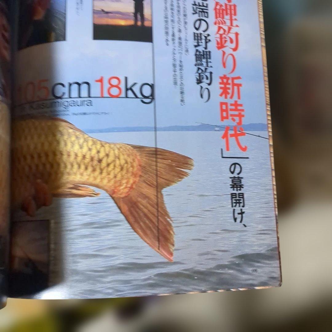 鯉釣りがわかる本 エキスパートの野鯉釣り実戦攻略 — image 3