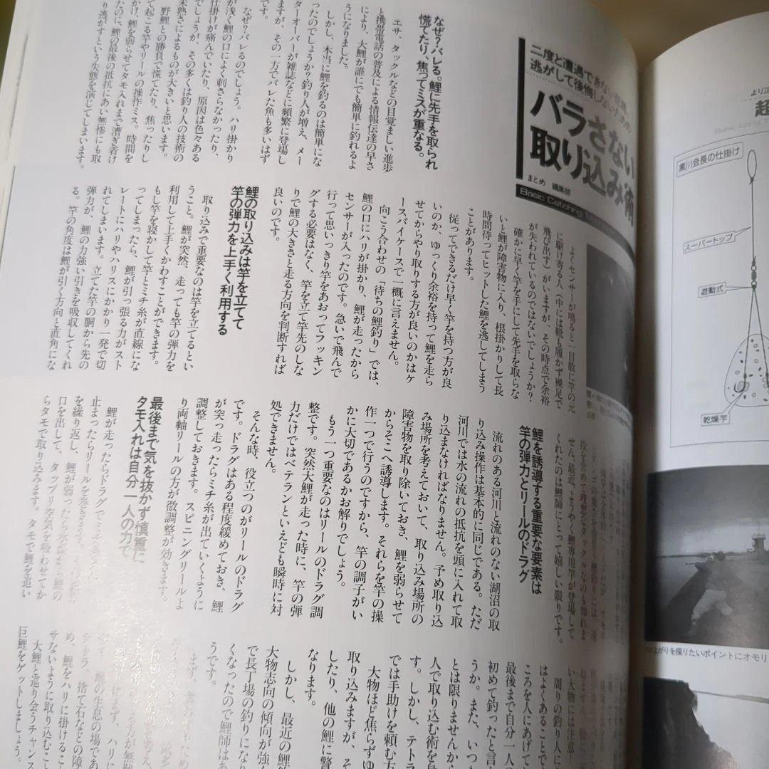 鯉釣りがわかる本 エキスパートの野鯉釣り実戦攻略 — image 4