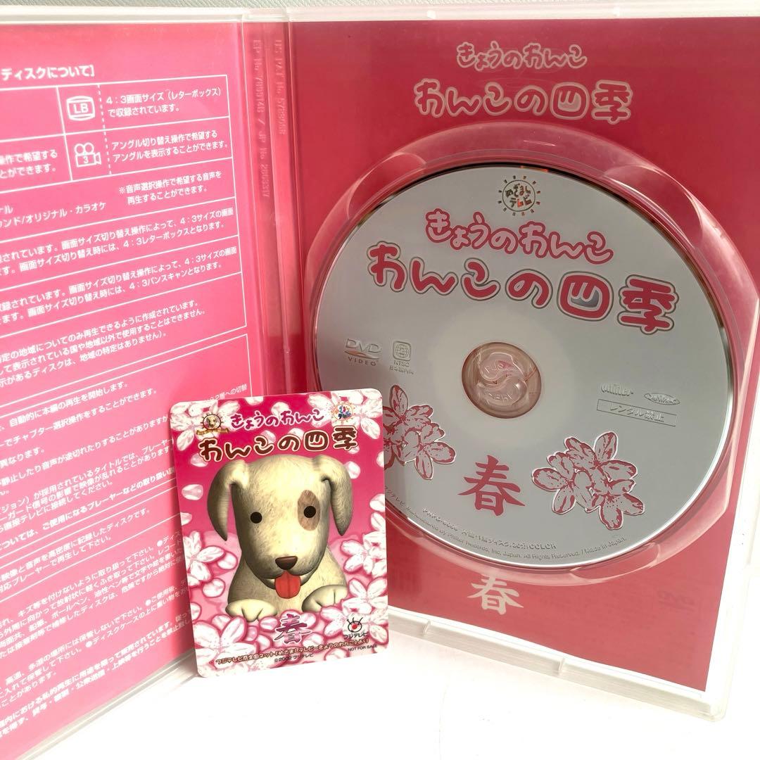 わんこの四季　春夏秋冬　DVD — image 4
