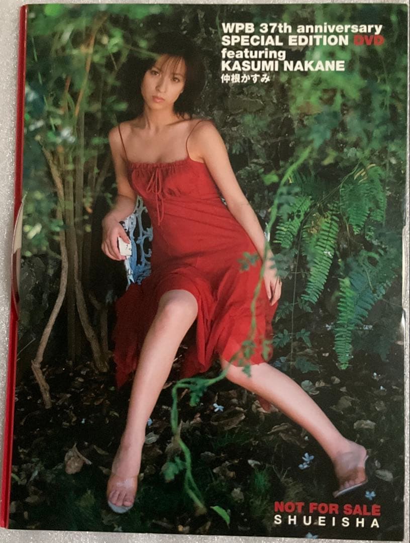 週刊プレイボーイ 37周年記念 特別オリジナルDVD 中根かすみ — image 4