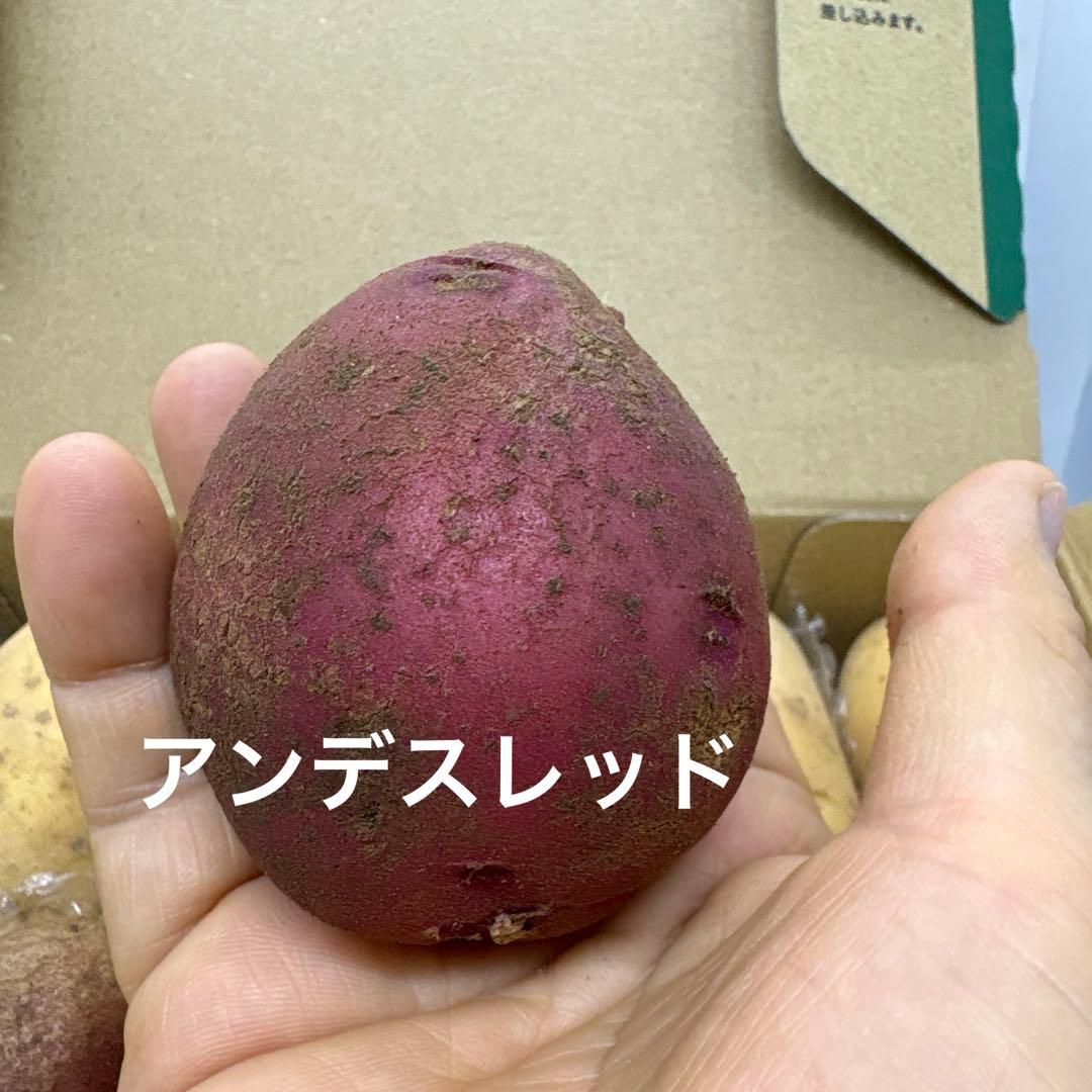 じゃがいも食べ比べセット — image 2
