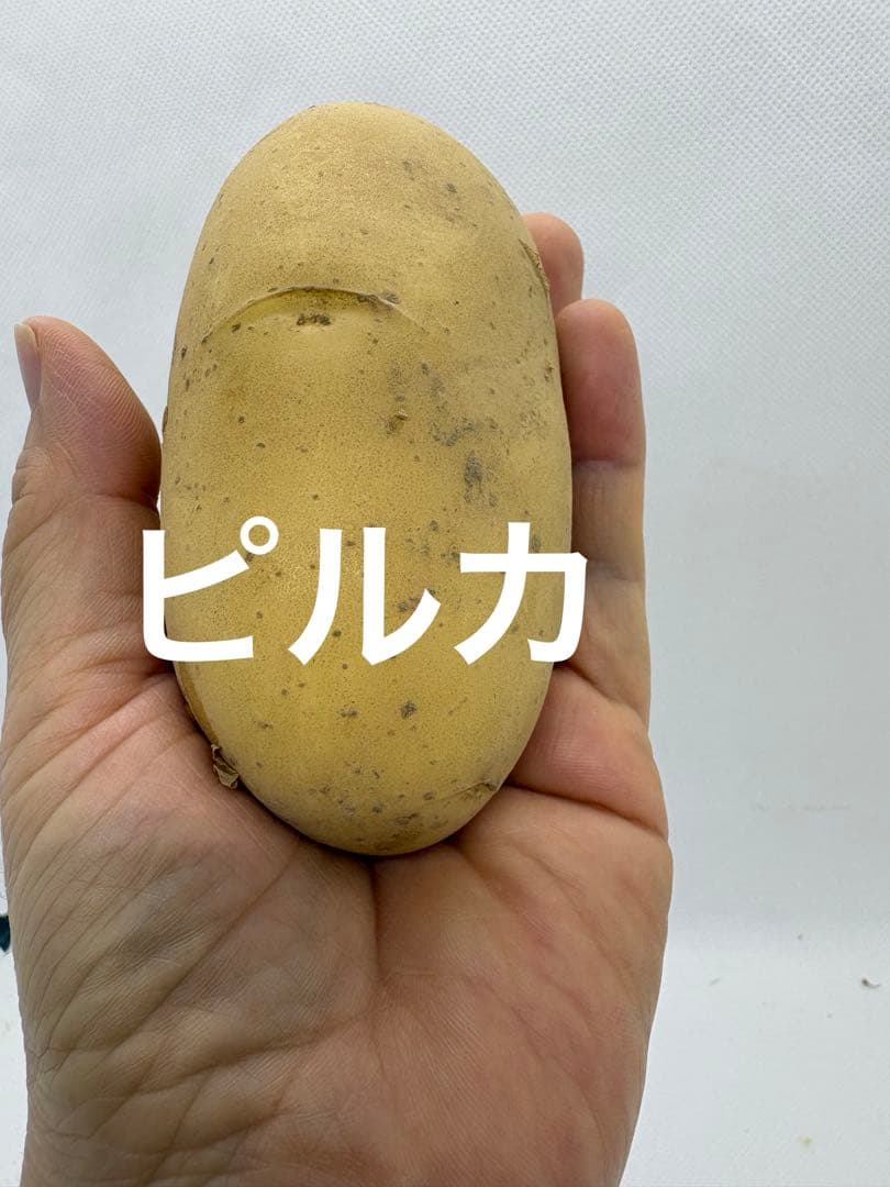 じゃがいも食べ比べセット — image 3