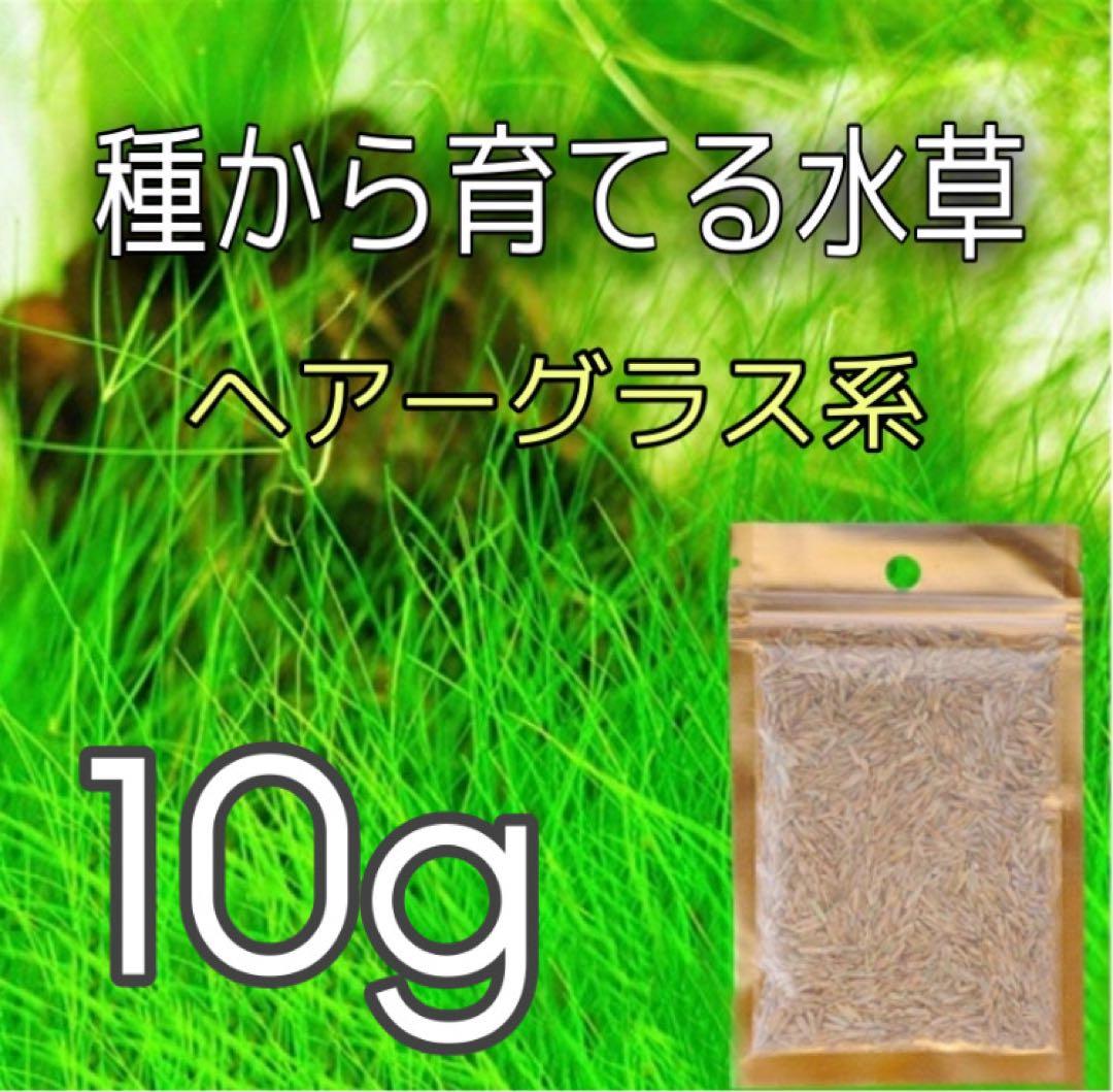 リズゴンゾウハウス様 リクエスト 3点 まとめ商品 — image 2