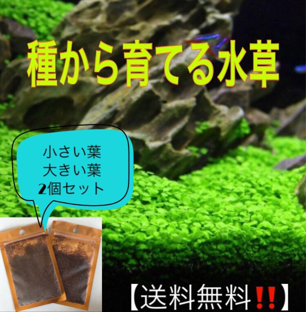 リズゴンゾウハウス様 リクエスト 3点 まとめ商品 — image 3