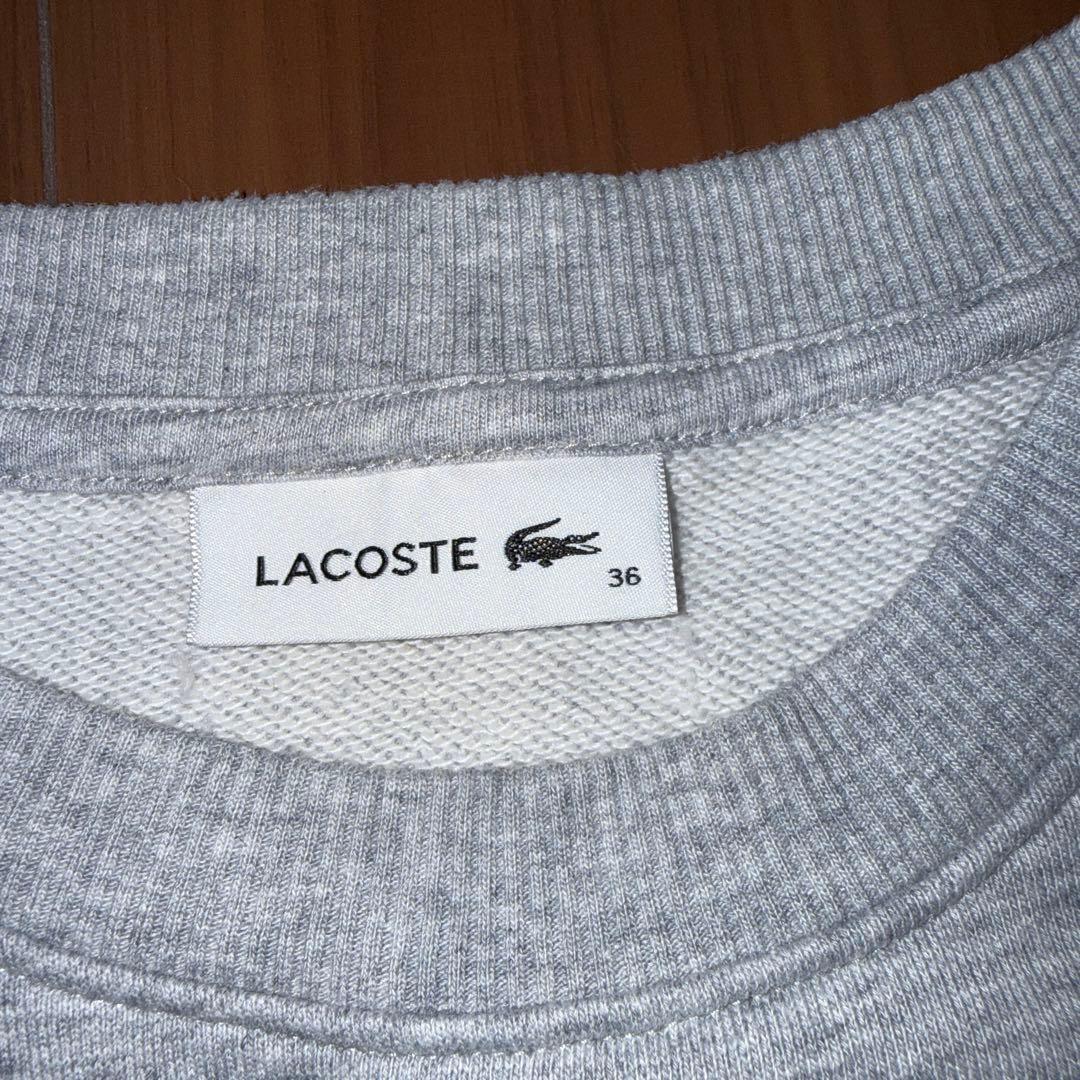 LACOSTE ラコステ 半袖スウェット グレー 36 — image 3