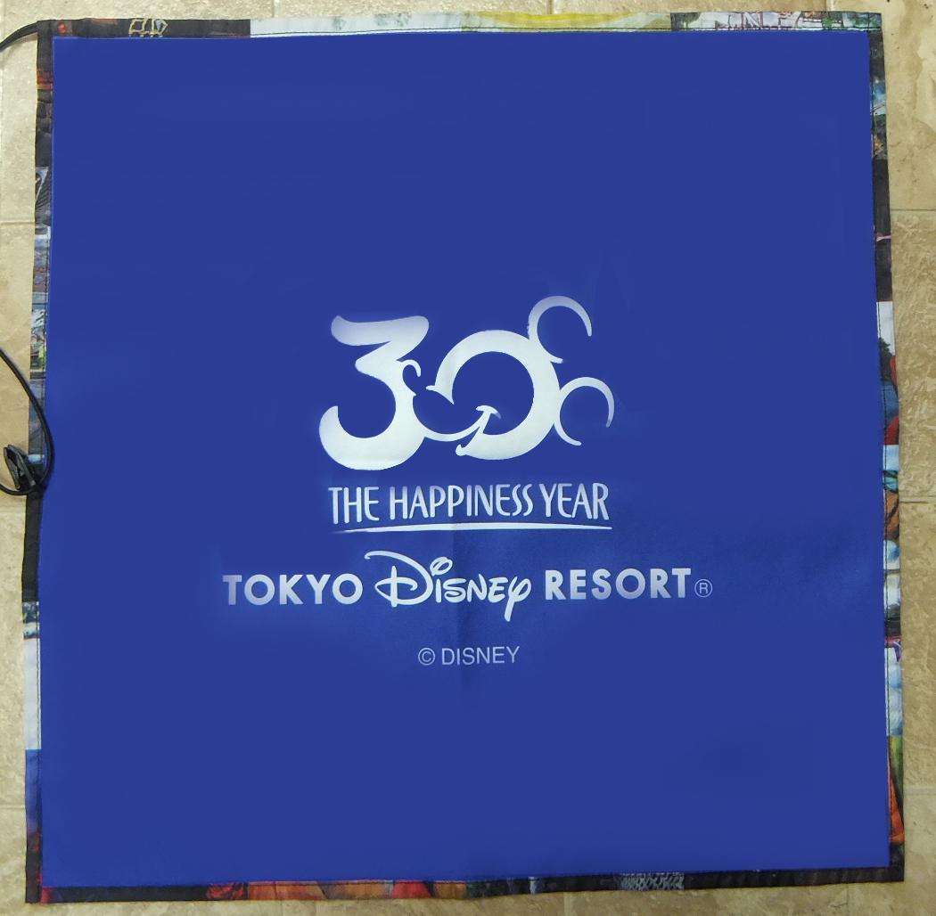 激レア ディズニーランド 30周年篠山紀信カメララッピング一眼レフ 実写 — image 2