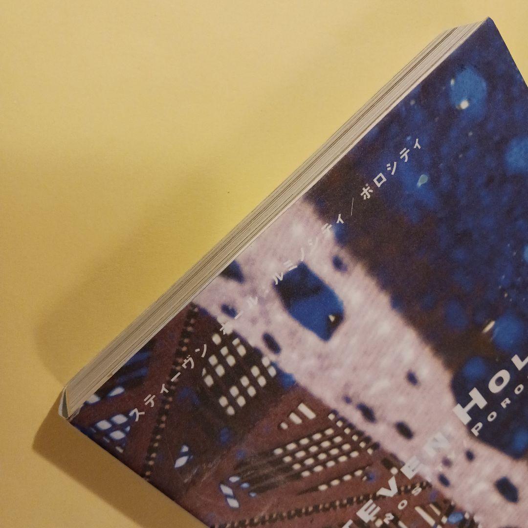 Steven Holl Luminosity Porosity — image 3
