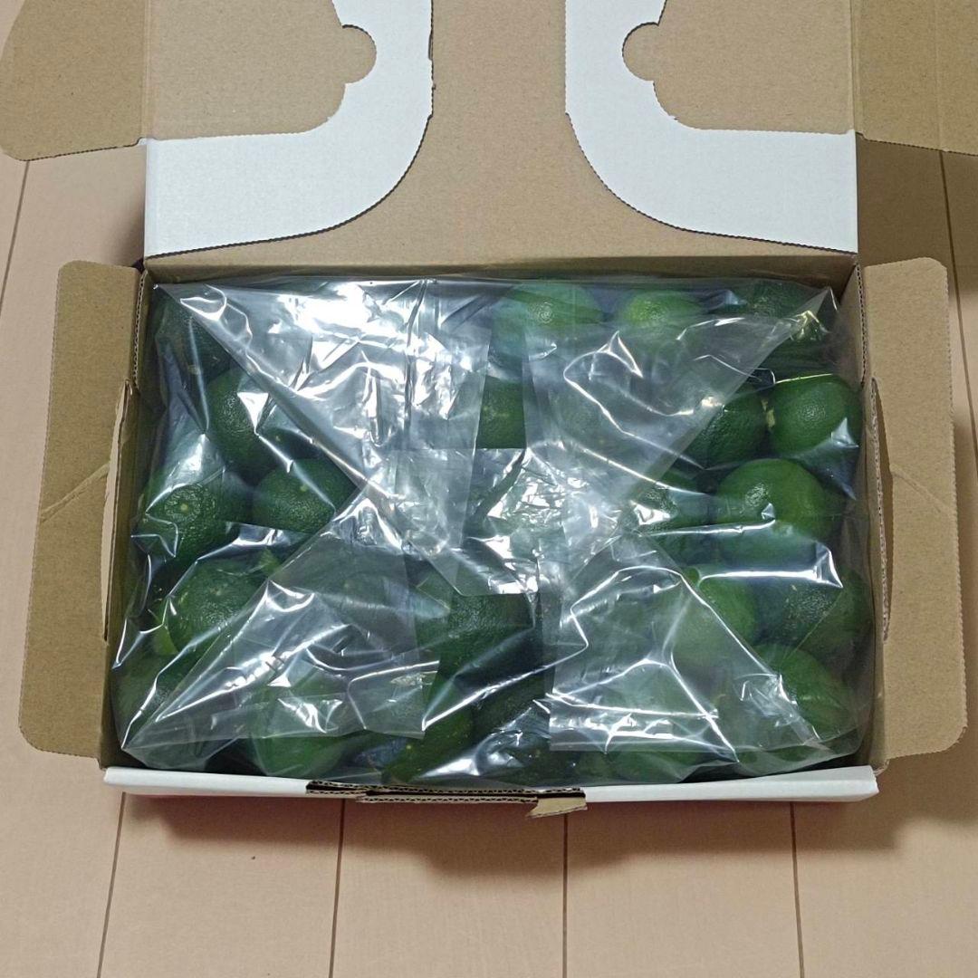 徳島産ハウスすだち『 新鮮すだち』 1.4kg — image 4