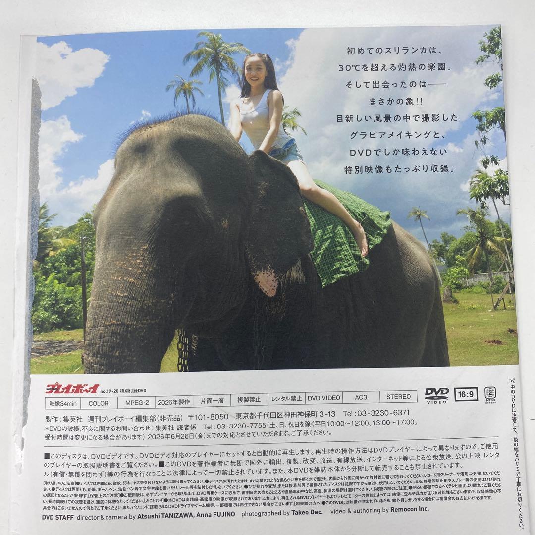 週刊プレイボーイDVD付録9枚 — image 2