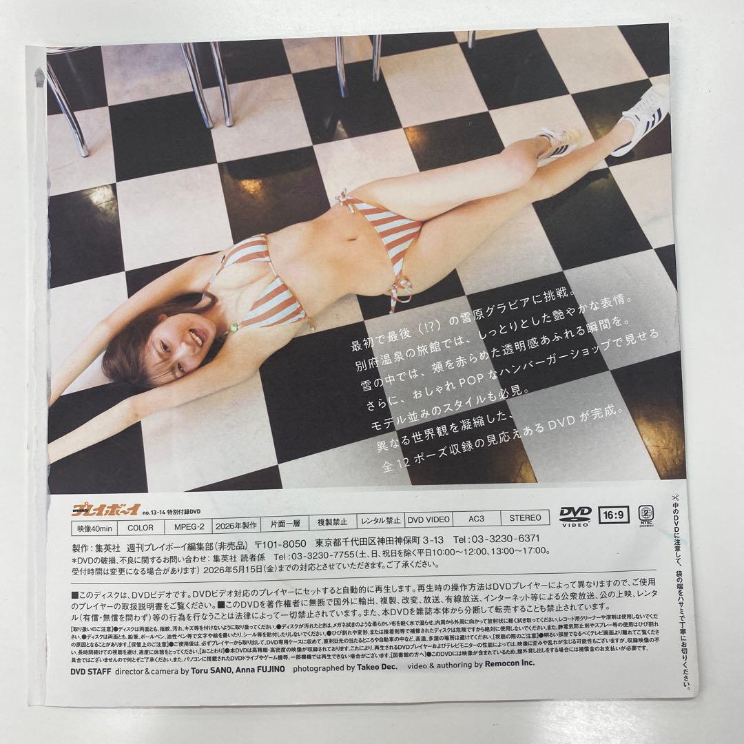週刊プレイボーイDVD付録9枚 — image 4